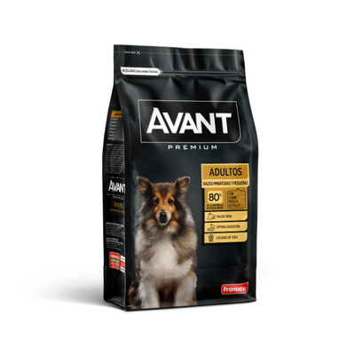 Avant Adultos Razas miniaturas y pequeñas