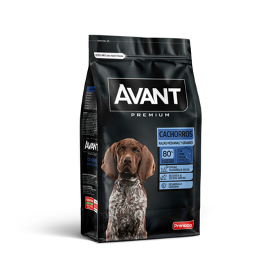 Avant Cachorros Razas medianas y grandes