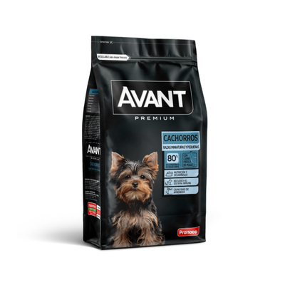Avant Cachorros Razas miniaturas y pequeñas