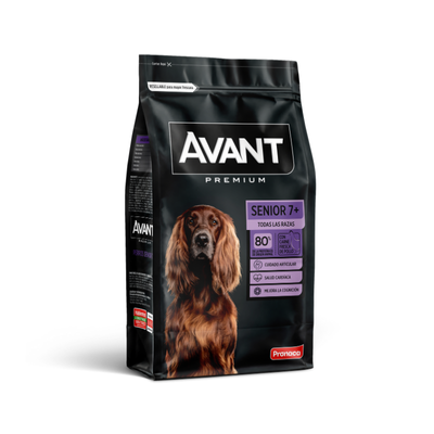 Avant Perros Senior