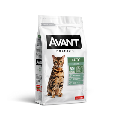 Avant Gatos