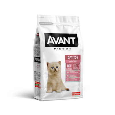 Avant Gatitos