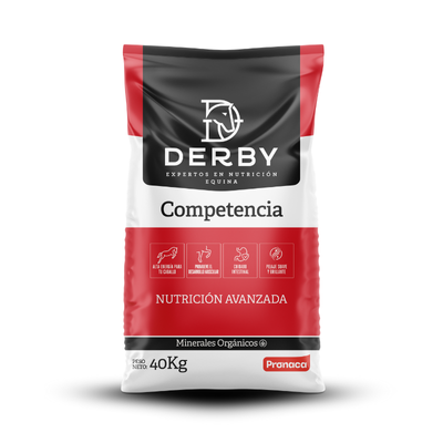 Derby Competencia