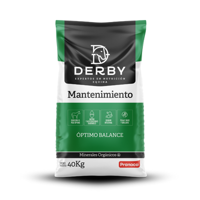 Derby Mantenimiento