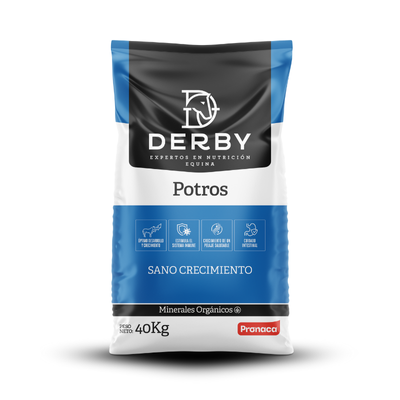 Derby Potros