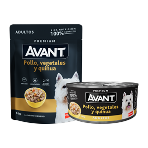 Avant Adultos Pollo, vegetales y quinua