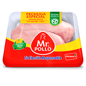 PECHUGA ESPECIAL
