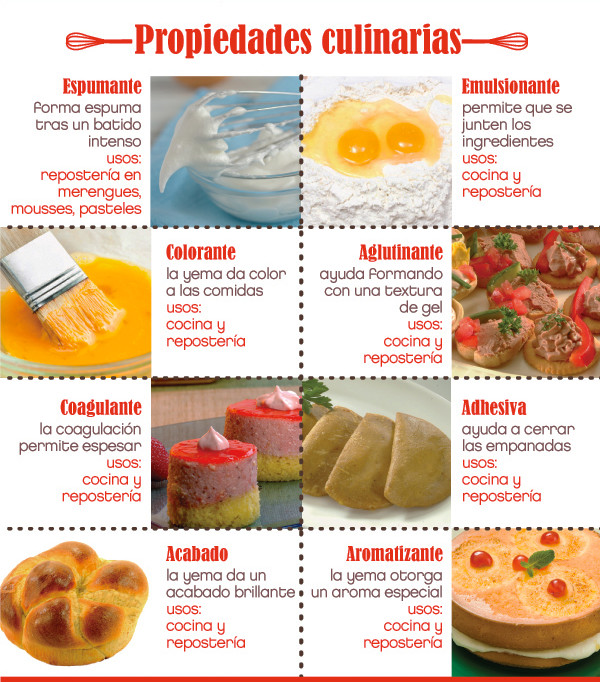 Aprende de este fabuloso alimento